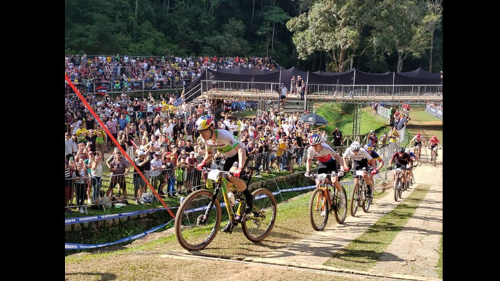 Serviços de segurança em Petrópolis